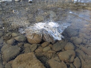 Unique water feature forms at riverbed creating mesmerizing bubbles during low tide at scenic riverbank