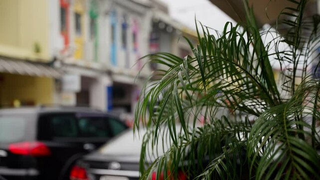 A Serene Urban Scene Featuring Lush Greenery in the Foreground and Colorful Fa ades in the Background, Capturing the Vibe of a Bustling Street Life.