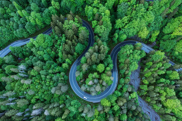 Germany, Bavaria, Aerial view of car driving along asphalt road winding through green forest in Bavarian Alps