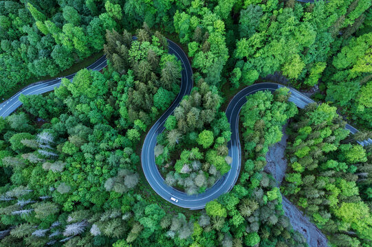 Germany, Bavaria, Aerial view of car driving along asphalt road winding through green forest in Bavarian Alps
