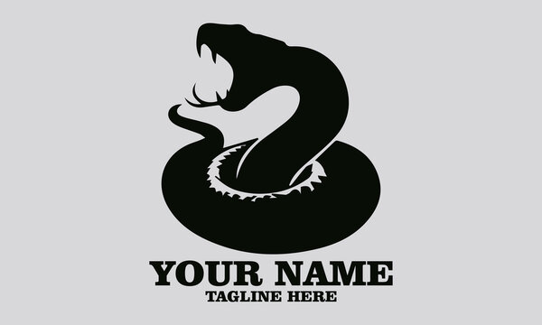 vector illustration of rattlesnake. Vintage rattlesnake etching engraving vector illustration, rattlesnake logo design