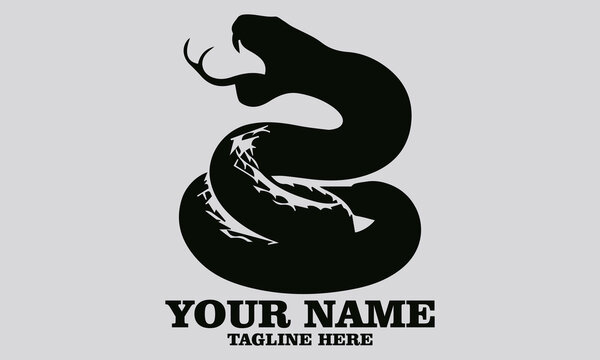 vector illustration of rattlesnake. Vintage rattlesnake etching engraving vector illustration, rattlesnake logo design