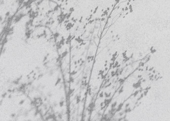 Light cement background with detailed shadows of floral branches for an artistic look.