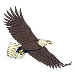 Eagle flying drawing illustration