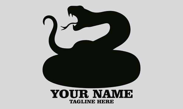 vector illustration of rattlesnake. Vintage rattlesnake etching engraving vector illustration, rattlesnake logo design