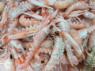 Fresh norway lobsters piled high on ice at market stall displaying vibrant colors and textures
