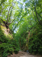Fosso della Calandrina, Trevignano Romano, Italy.