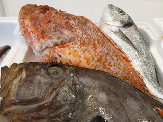 Fresh fish on ice at a market stall, showing a variety of seafood ready for sale