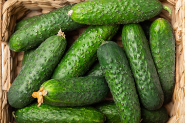 Cucumber on wooden background. Slice of cucumber on background. Fresh organic green cucumbers gherkin. Vegan. Salad ingredient. Farm vegetables. Cut vegetables with knife. Space for text. Copy space