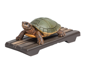Turtle on a wooden platform