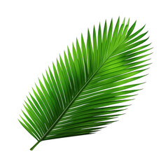 Obraz premium Isolated bright green palm frond detail