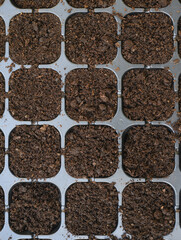 Seedling trays filled with soil ready to plant, Preparing to grow seeds, Creating safe food source. Top view