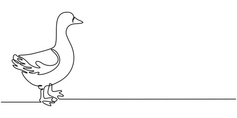 Domestic goose continuous one line drawing,Duck in continuous line art drawing style. Abstract duck walking minimalist, One continuous single drawing line art flat doodle animal, bird, goose, feather. © LINE SIMPLE DRAWING