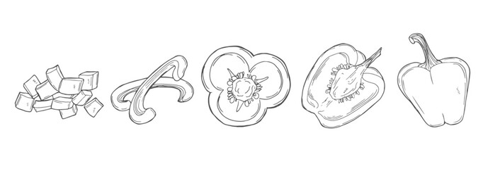 Bell Pepper hand drawn set. Sketch Vegetable. full, half and slices. Paprika