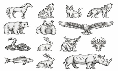 Obraz premium wild animals collection