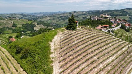 Springtime panorama,  taken by drone, of the hills covered by vineyards, in the vinery region of Langhe (Piedmont, Northern Italy). This area is UNESCO site since 2014 and famous for its red wines.