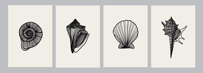 Seashell Collection Line Art Set