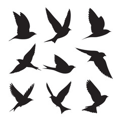 Fototapeta premium bird in flight silhouette set, Black & White silhouette set 