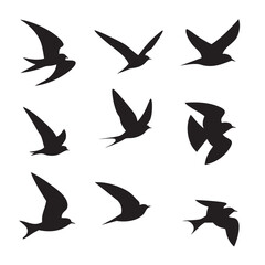 Obraz premium bird in flight silhouette set, Black & White silhouette set 