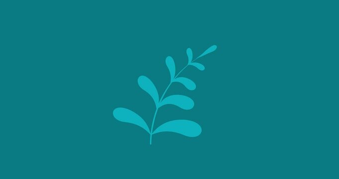 Cartoon simple blue nine leaves plant fern grow isolated. Business style plant flower leaves good for explainer. Flat vector simple business style infographic animation 4k video motion design graphic.