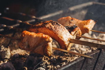 grilled salmon fish on skewers, close-up view, fried meat, delicious food