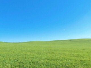 Fototapeta premium Green Meadow