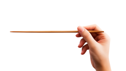 Hand holding a thin wooden stick against on white and transparent Background