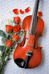 Fototapeta na wymiar Flower roses with violin