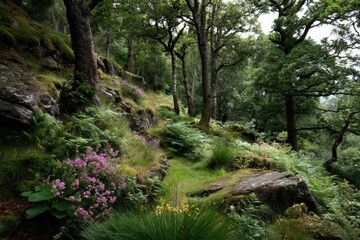 Obraz premium Lush woodland path with vibrant wildflowers in a serene forest during an overcast day