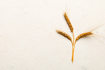 Sheaf of wheat ears close up and seeds on colored background. Natural cereal plant, harvest time...