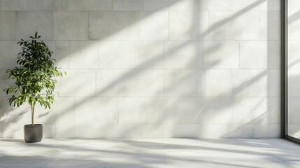 Modern Minimalist Interior Design Light Filled Room with Plant and White Tile Wall