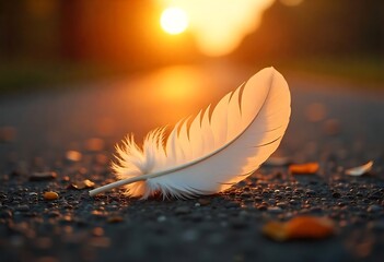 White feather on textured pavement during golden hour, macro close-up, soft light, serene outdoor atmosphere.