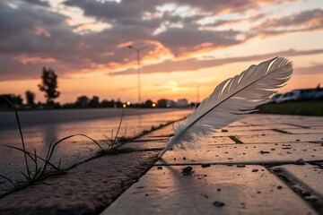 White feather on textured pavement during golden hour, macro close-up, soft light, serene outdoor atmosphere.