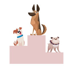 Dog winners. podium awarding winners. vector cartoon pets