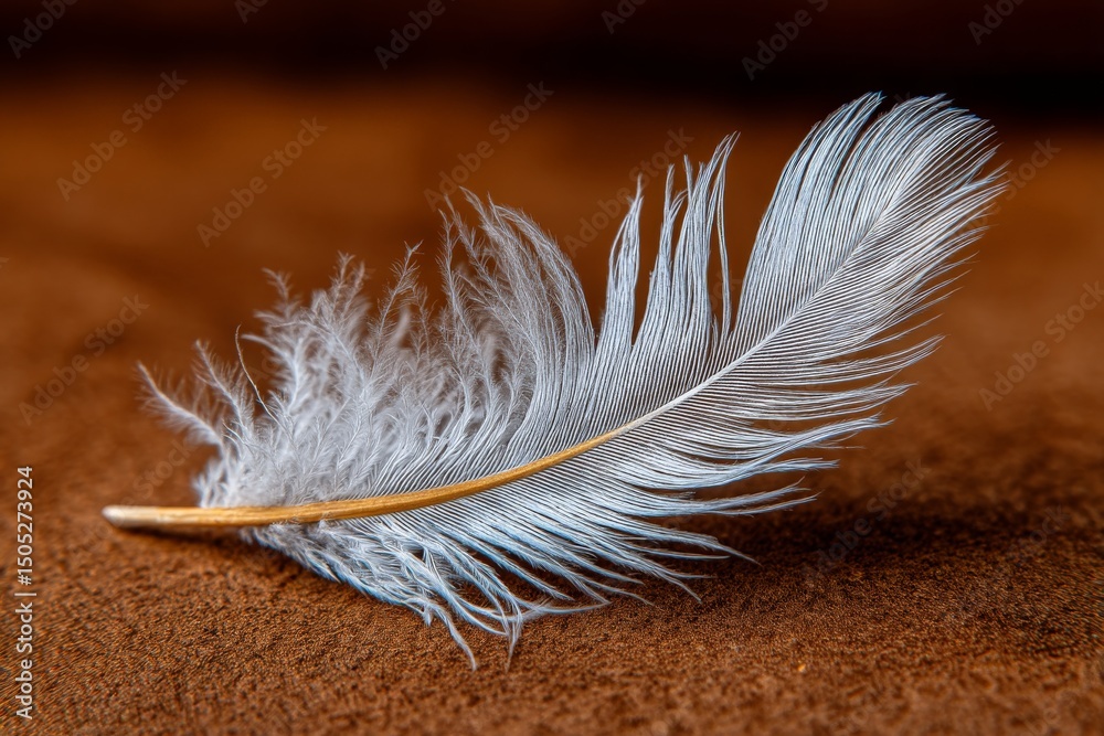 Aufkleber delicate feather resting on soft brown surface showcasing intricate details and textures in natural 