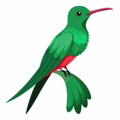 Fototapeta premium Realistic full-body illustration of the rare Honduran Emerald bird on a white background, perfect for wildlife and nature-themed digital projects.