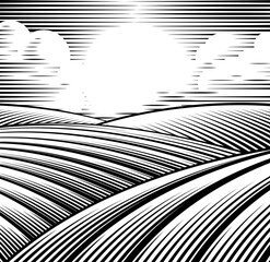 A rolling hills rural landscape drawing in a vintage woodcut style