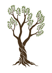 Olive trees with branches and leaves for design of packaging, label, logotype or banner. Natural organic stylized olive icon, premium quality sign. Vector illustration