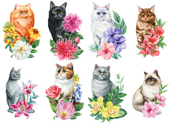 Set of watercolor cats with flowers, botanical floral bouquets, spring animal illustration collection for greeting cards