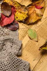 dry autumn leaves on woolen background