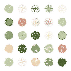 hand drawn cartoon illustration of top view tree.