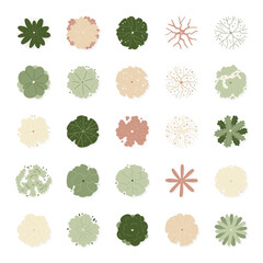 hand drawn cartoon illustration of top view tree.