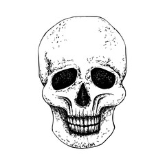 Human skull Graphic illustration from front full face with white plate. Gothic's concept for Halloween design, Day of the Dead, for textile, packaging, stationery, apparel. Black hand drawn vector