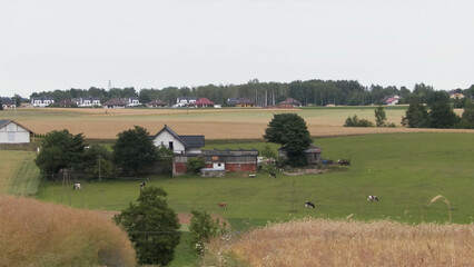 A field in Kashubia.
