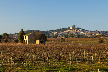 Typical vineyard with stones near Chateauneuf-du-Pape, Cotes du Rhone, France