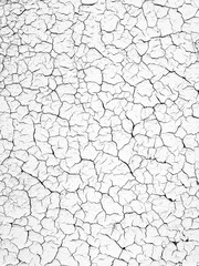 Textured white surface with deep cracks and patterns, showing the beauty of aged materials and natural wear, ideal for backdrops and design projects. Vertical background with copy space