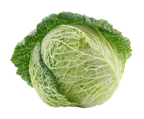 Fototapeta premium Crisp green cabbage head for healthy meal preparation and cooking on a transparent background, cut out