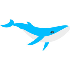 Sea Animal Illustration