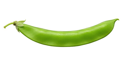 Isolated snow pea