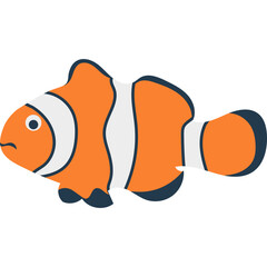 Sea Animal Illustration